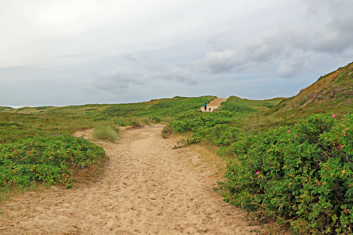 Sylt