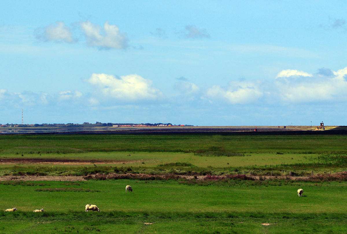 Blick nach Sylt