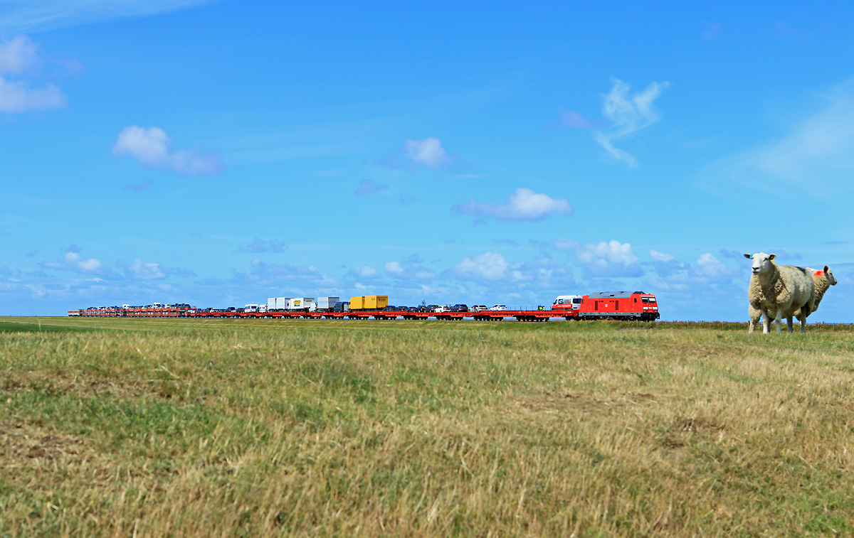 Shuttle mit 245 und Schaf