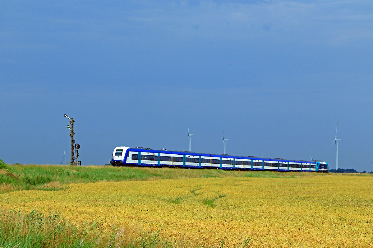 Lehnshallig